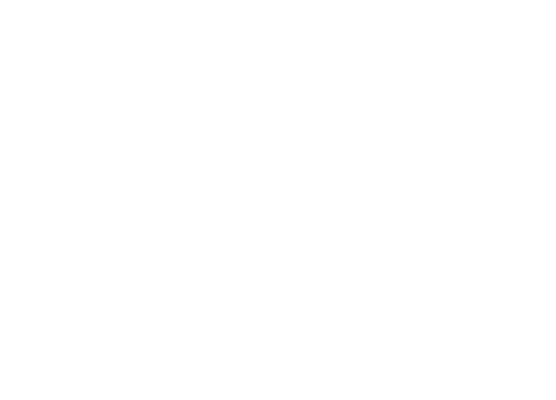 Hurricane Protection Logo